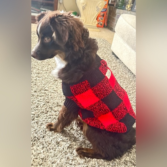 Cozy Printed Sweater for Pets - Picture 8 of 12